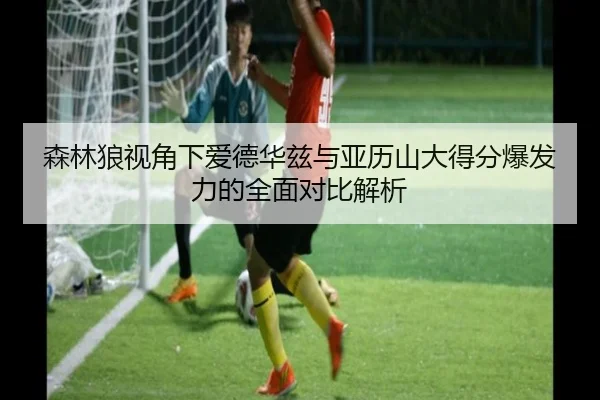 森林狼视角下爱德华兹与亚历山大得分爆发力的全面对比解析